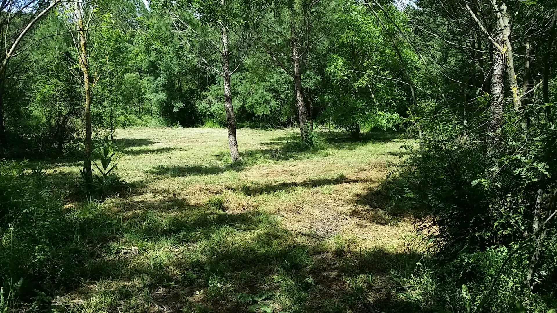 Le Jardin de Gretuvs — photo 2