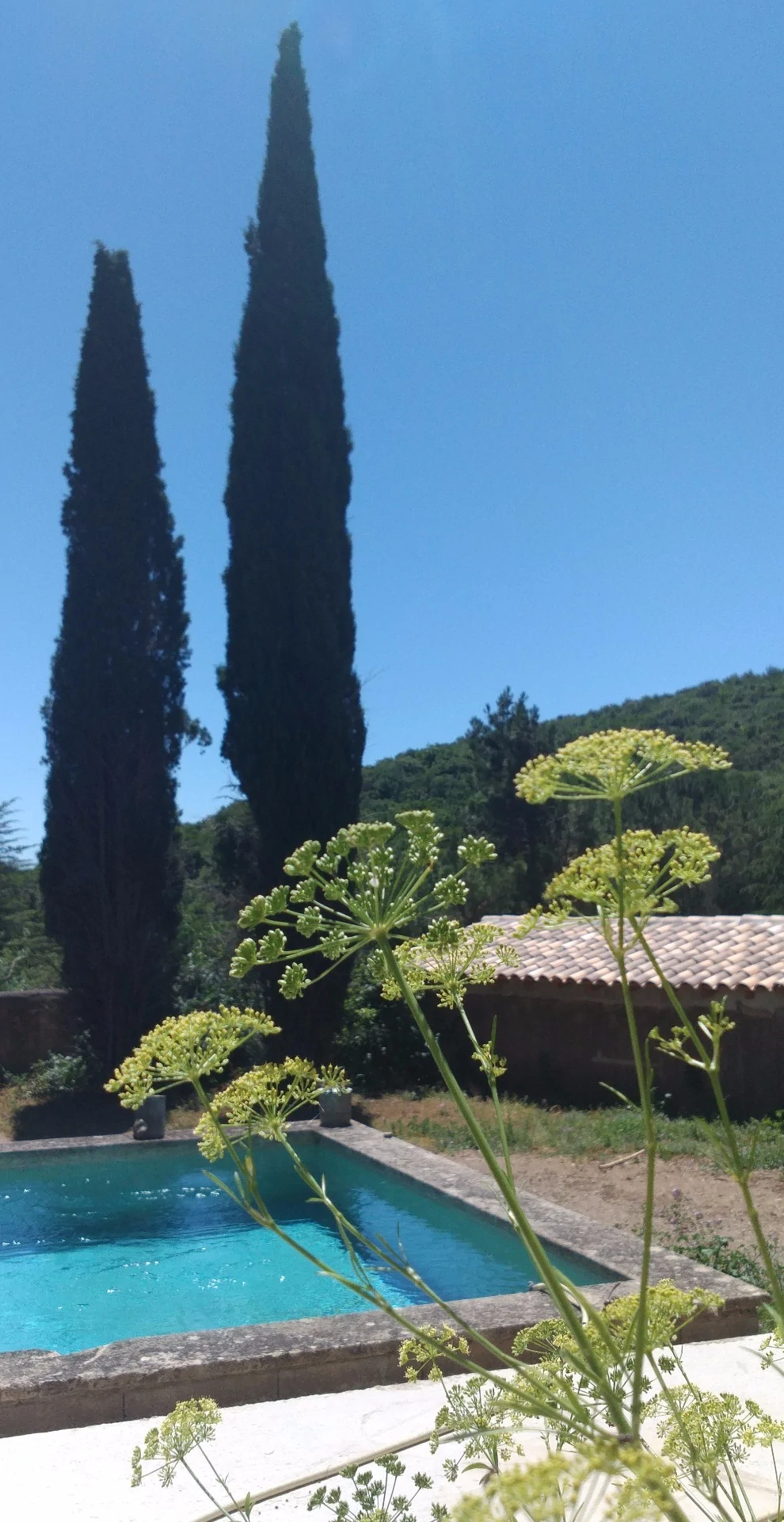 Le Jardin de Gretuvs — photo 4
